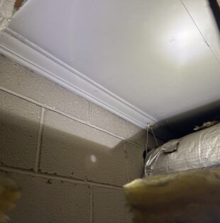 IMG_20260622_114554